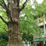 松本楼　外観-3